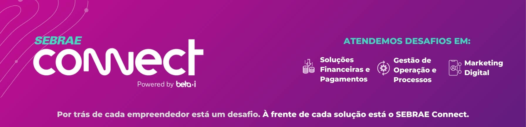 Como funciona o Sebrae Connect